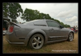 Mustang 2006-1